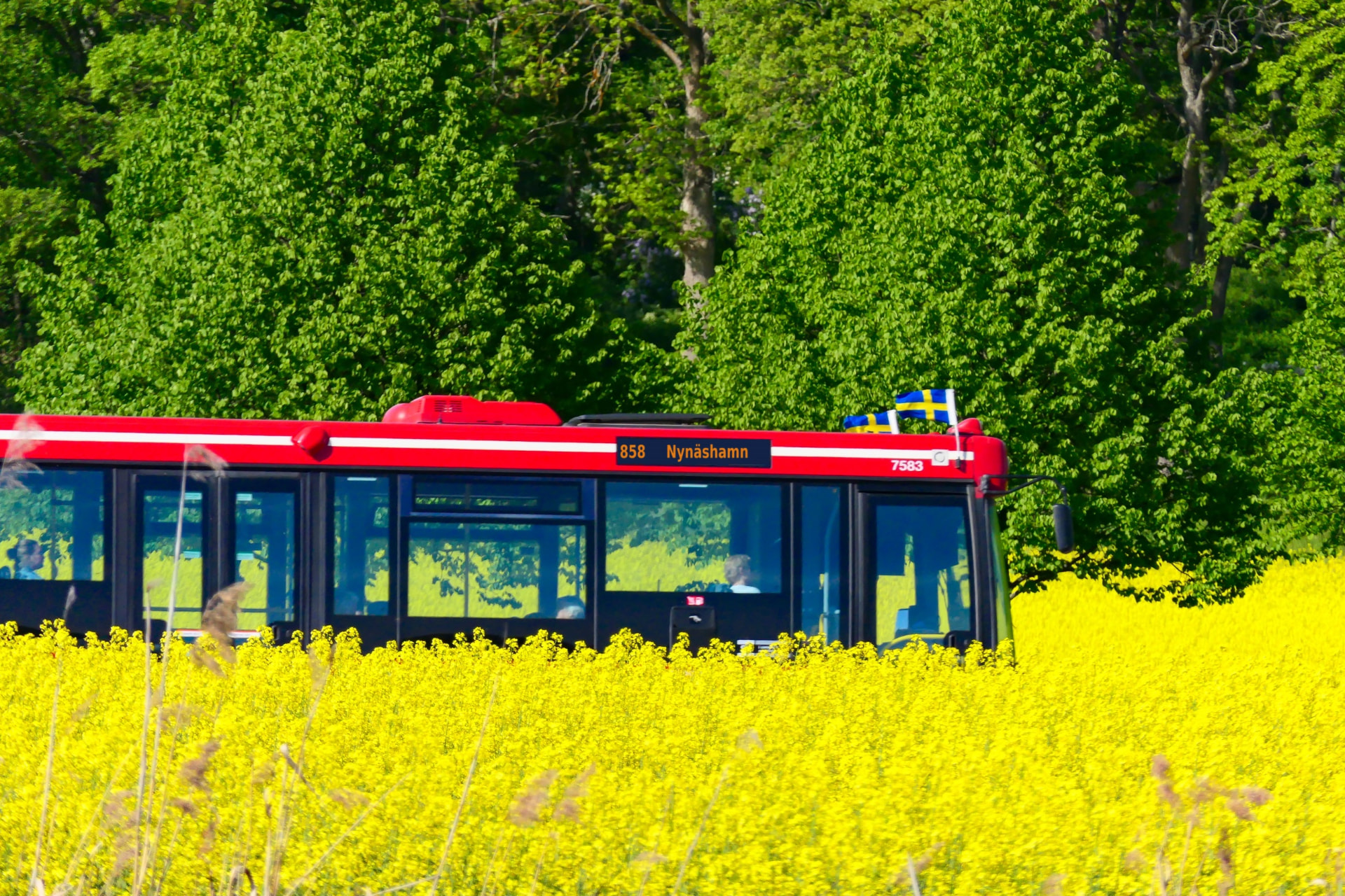 Buss i området med direkt anslutning till centrala Nynäshamn. Till Stockholm tar du dig på cirka 40 minuter med bil eller omkring 50 minuter med pendeltåg.